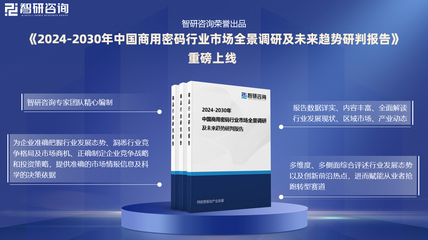 2024年中國商用密碼行業(yè)現(xiàn)狀分析及發(fā)展趨勢預(yù)測報告