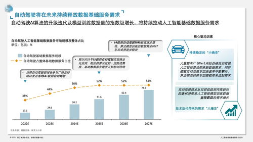 德勤咨詢 人工智能基礎數據服務與軟件開發(fā)白皮書